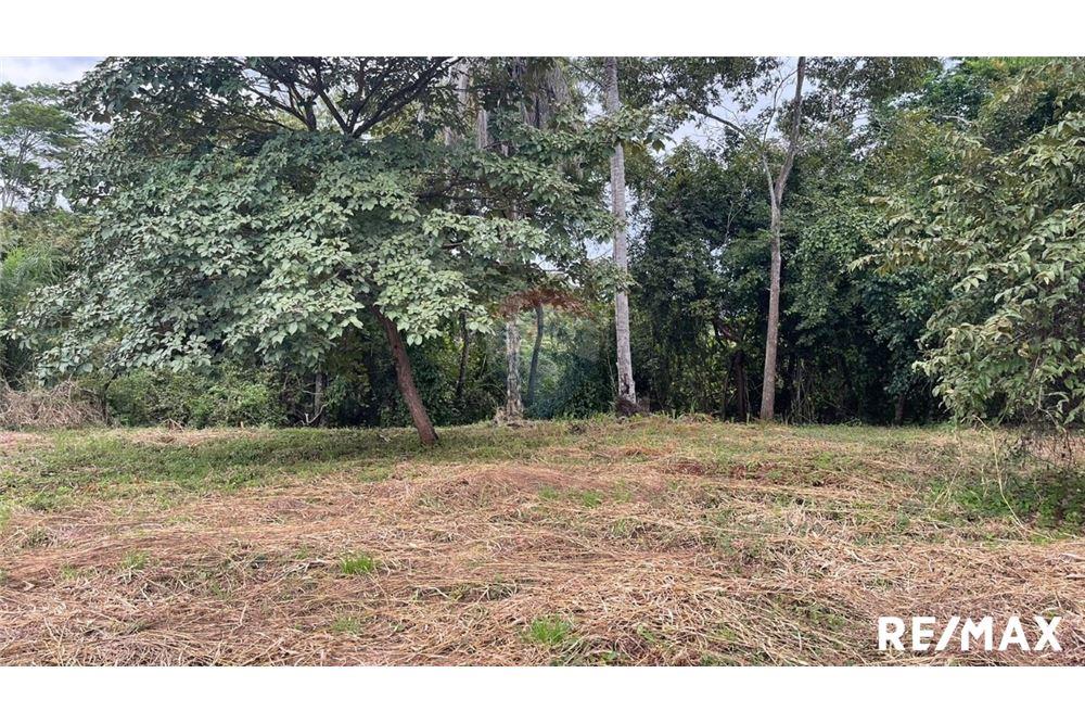 Commercio - Terreno - Puntarenas, Puntarenas - Puntarenas, Costa Rica - Caribbean & Central Ameri - 17 - 90168045-6