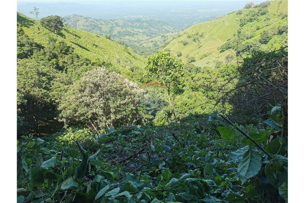 Commercial - Land - Atenas, Alajuela- Atenas, Costa Rica - Caribbean & Central Ameri - 2 - 90128007-170