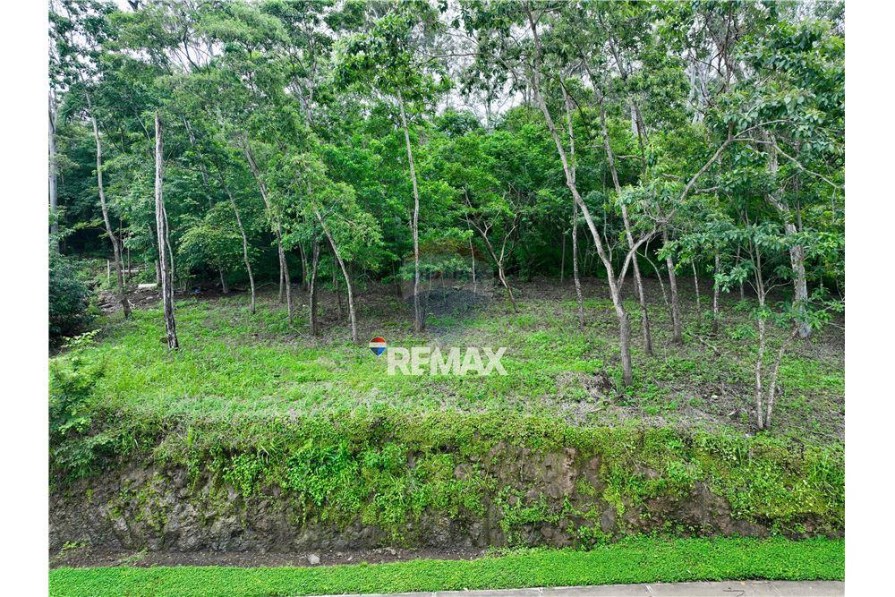 Land - For Sale - Zaragoza, La Libertad, El Salvador - 3 - 902331067-1