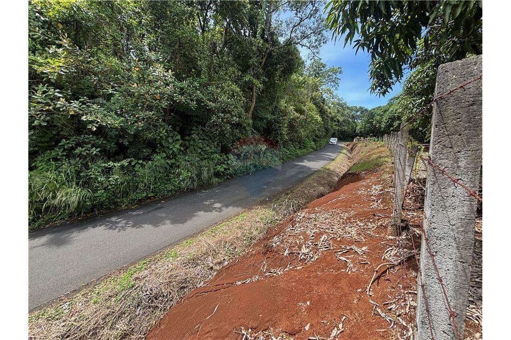 Grondstuk - Te Koop - Atenas, Alajuela- Atenas, Costa Rica - 7 - 90128002-974