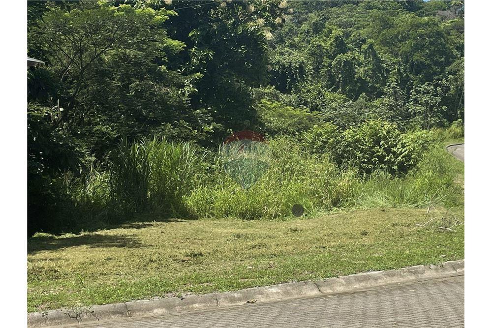 Commercial - Land - Tarcoles - Punta Leona, Puntarenas- Garabito, Costa Rica - Caribbean & Central Ameri - 5 - 90168035-18