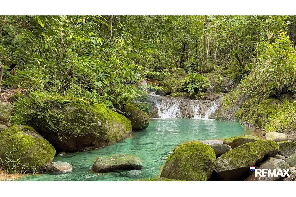 Comercial - Terreno - Parrita, Puntarenas - Parrita, Costa Rica - Caribbean & Central Ameri - 10 - 90168003-467