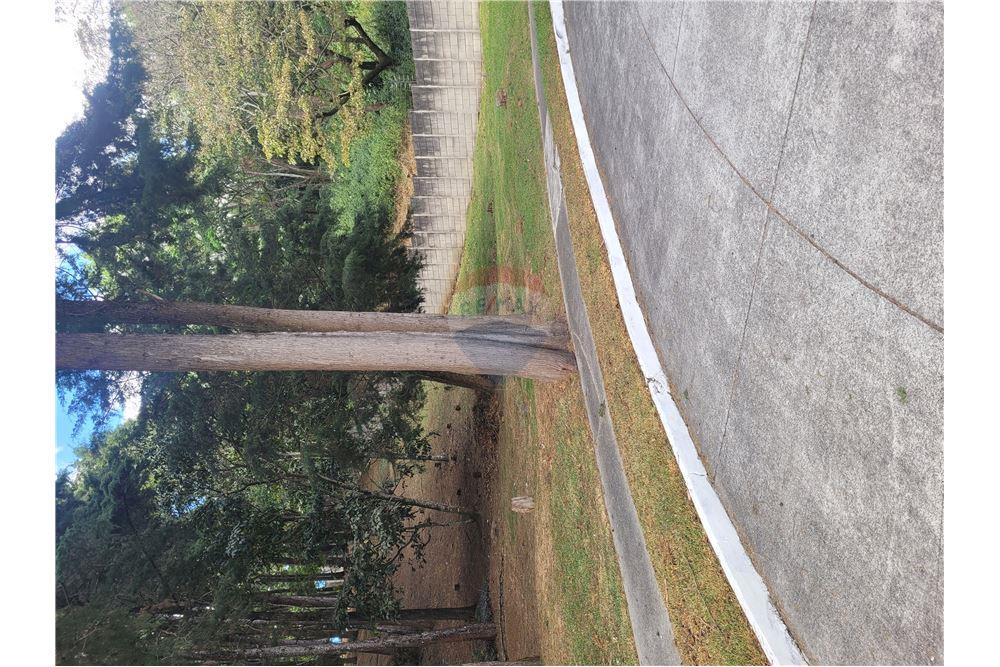 Land - For Sale - Fraijanes, Guatemala, Guatemala - 9 - 902091021-3