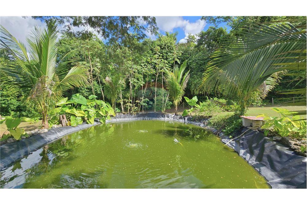 Residential - Villa - Bullet Tree Falls, Cayo District, Belize - Caribbean & Central Ameri - 15 - 901411005-164