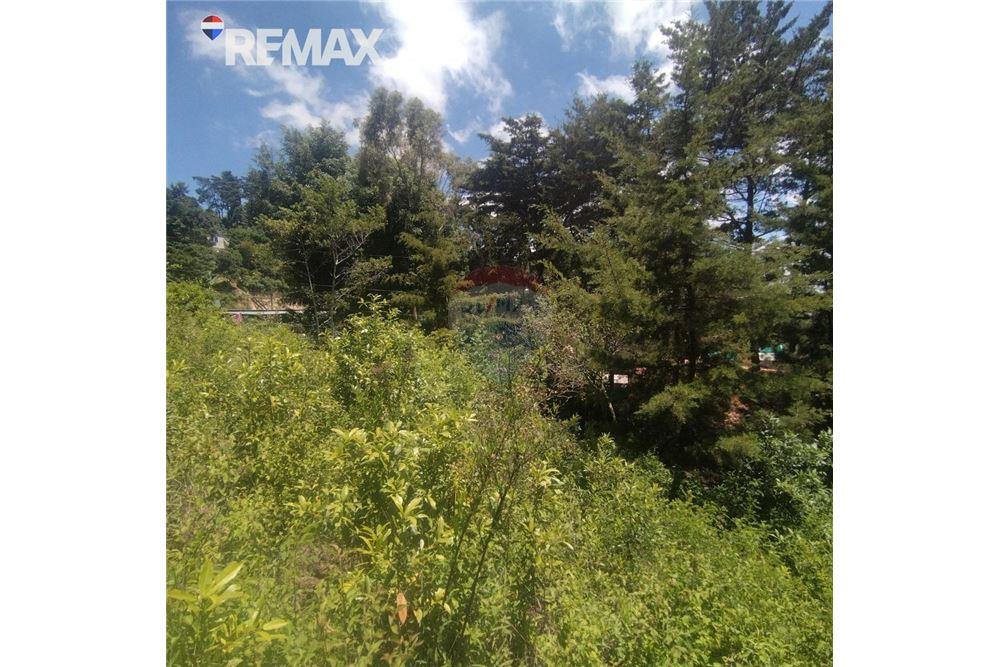 Lote - Venta - San José Pinula, Guatemala, Guatemala - 3 - 902611006-17