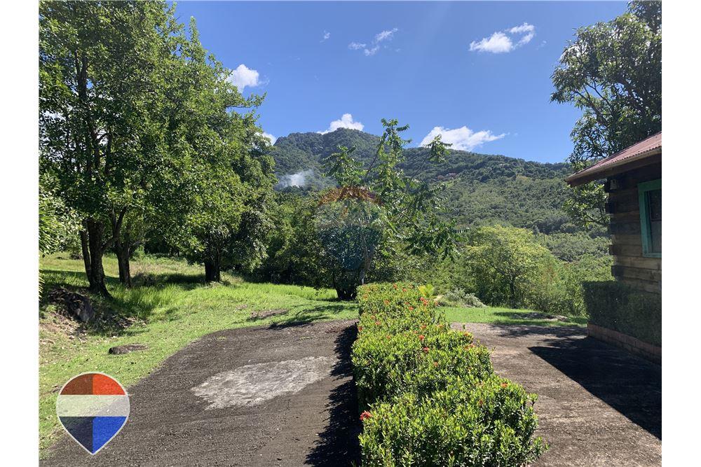 Land - For Sale - Theodorine, Anse-la-Raye, St Lucia - 4 - 902071001-196