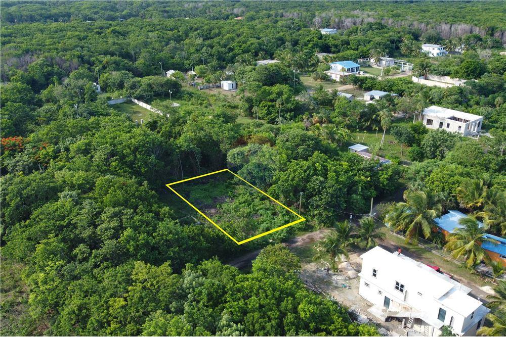 Commercial - Land - Corozal Town, Corozal District, Belize - Caribbean & Central Ameri - 3 - 901411007-96