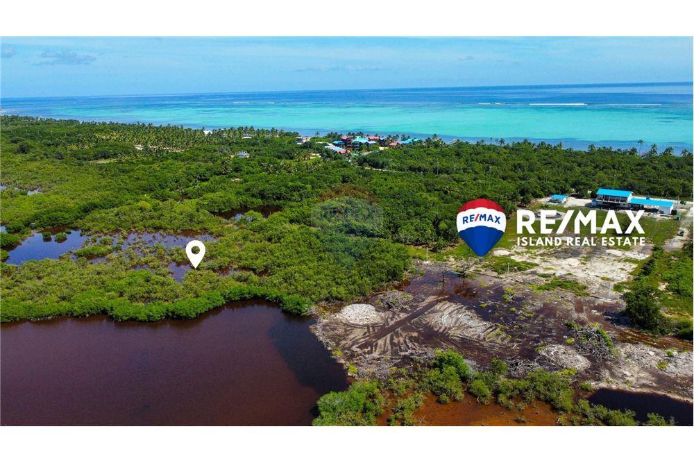 Commercial - Land - Ambergris Caye, Ambergris Caye, Belize - Caribbean & Central Ameri - 6 - 90135024-5