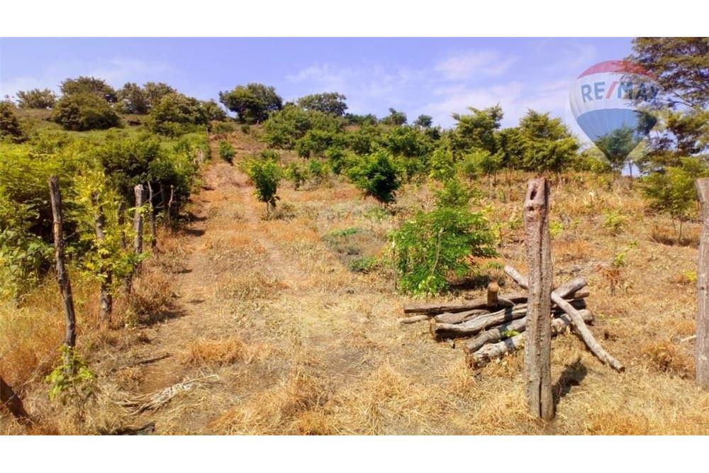 Land - For Sale - Tamanique, La Libertad, El Salvador - 6 - 902501005-10