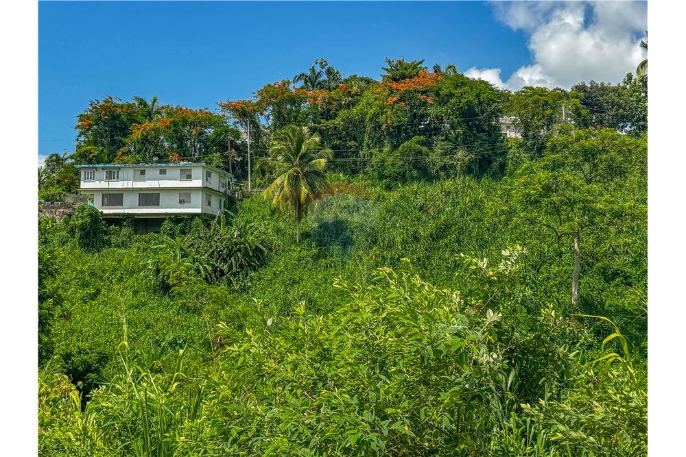 Commercial - Land - Rio Grande, Rio Grande, Puerto Rico - Caribbean & Central Ameri - 3 - 902461010-8