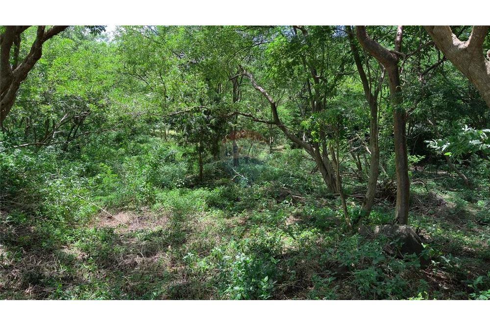 Commercial - Land - San Juan del Sur, Rivas, Nicaragua - Caribbean & Central Ameri - 5 - 90119008-99
