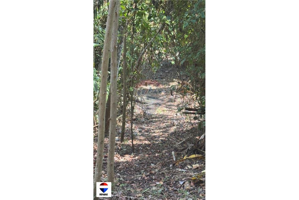 Comercial - Terrenos - Tarcoles - Quebrada Ganado, Puntarenas- Garabito, Costa Rica - Caribbean & Central Ameri - 12 - 90168030-59