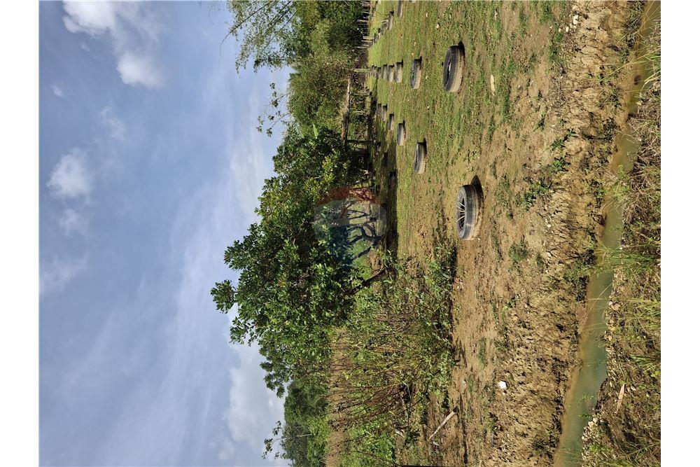 Land - For Sale - Sangre Grande, Saint Andrew, Trinidad and Tobago - 2 - 90155092-95