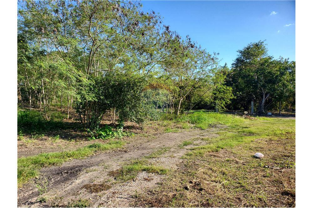 Commercio - Terreno - Ranchito, Corozal District, Belize - Caribbean & Central Ameri - 12 - 901411007-89