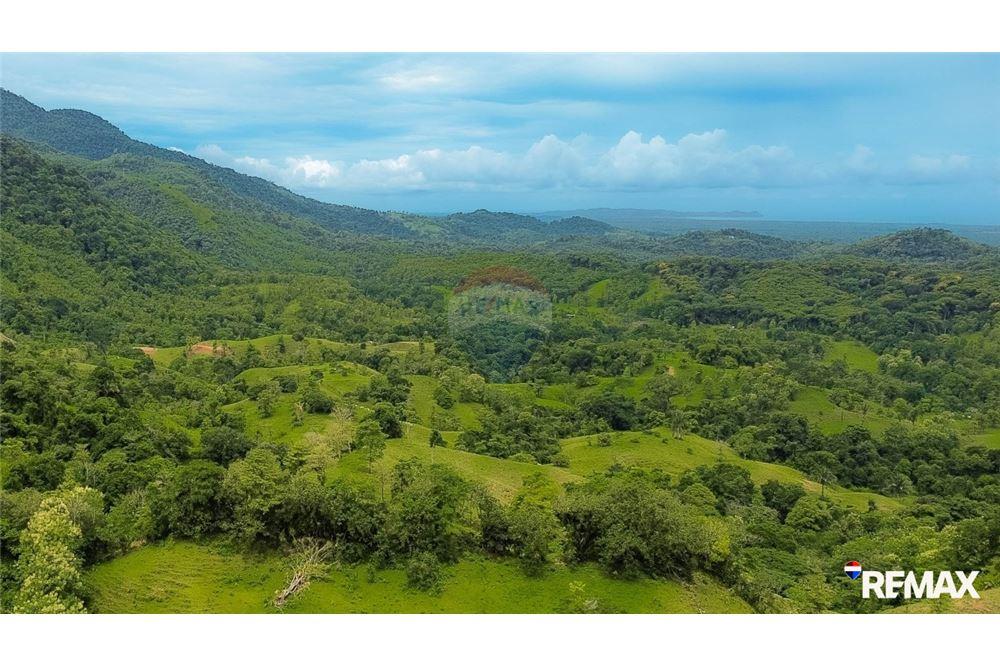 Comercial - Terreno - Parrita, Puntarenas - Parrita, Costa Rica - Caribbean & Central Ameri - 7 - 90168003-467