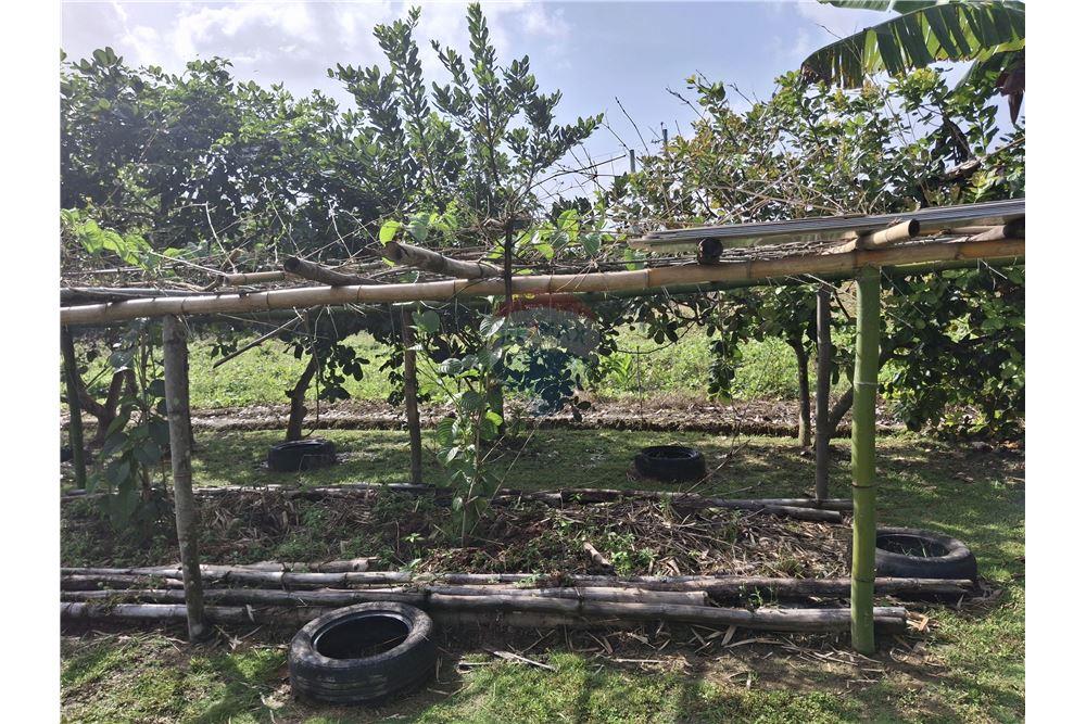 Grondstuk - Te Koop - Sangre Chiquita, Saint Andrew, Trinidad and Tobago - 4 - 90155092-77