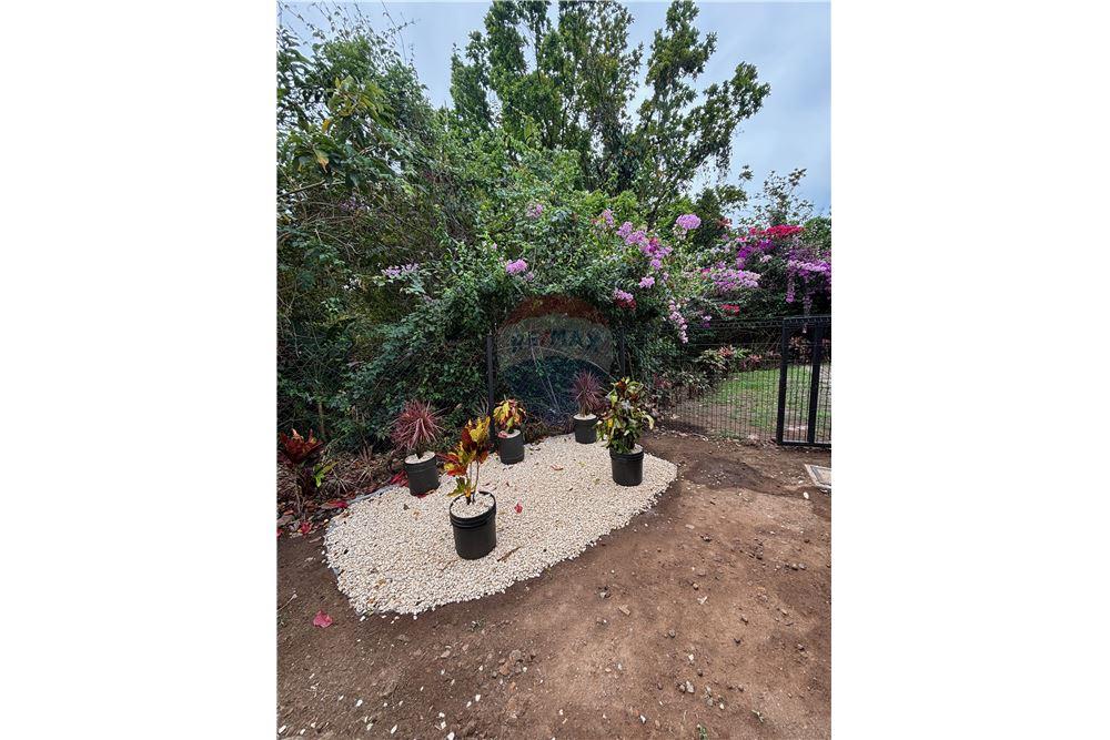 Residenziale - Villa - Atenas, Alajuela- Atenas, Costa Rica - Caribbean & Central Ameri - 8 - 90128002-1006