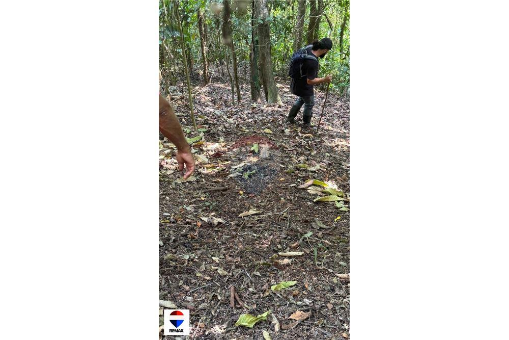 Comercial - Terrenos - Tarcoles - Quebrada Ganado, Puntarenas- Garabito, Costa Rica - Caribbean & Central Ameri - 20 - 90168030-59