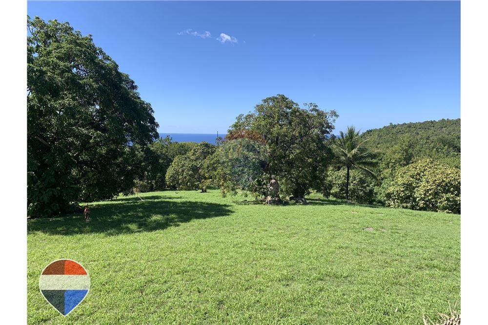Land - For Sale - Theodorine, Anse-la-Raye, St Lucia - 2 - 902071001-196