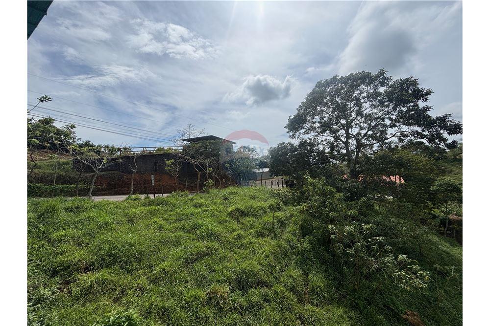 Residenziale - Villa - Atenas, Alajuela- Atenas, Costa Rica - Caribbean & Central Ameri - 10 - 90128002-997