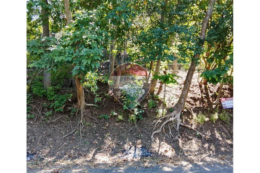 Land - For Sale - Tamanique, La Libertad, El Salvador - 4 - 901901070-10