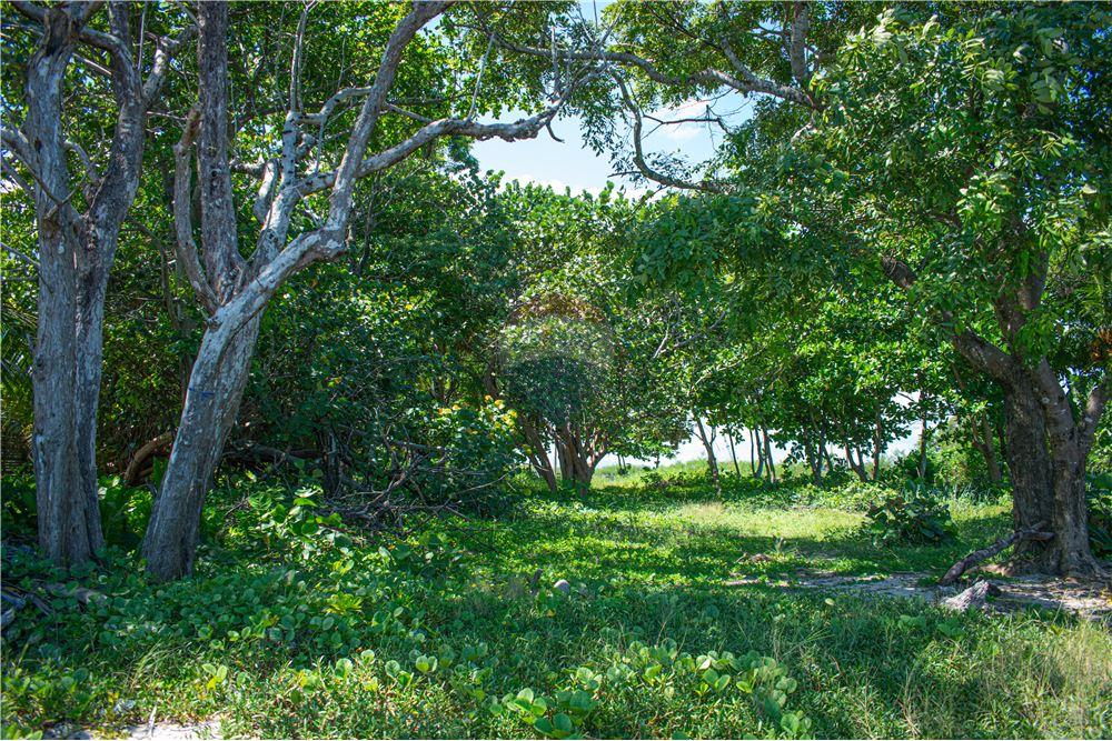 Comercial - Terreno - Placencia, Stann Creek District, Belice - Caribbean & Central Ameri - 11 - 90127003-302