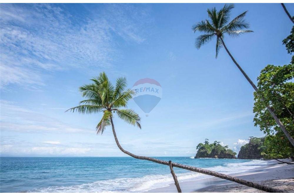 Commercial - Land - Tarcoles - Punta Leona, Puntarenas- Garabito, Costa Rica - Caribbean & Central Ameri - 8 - 90168042-12