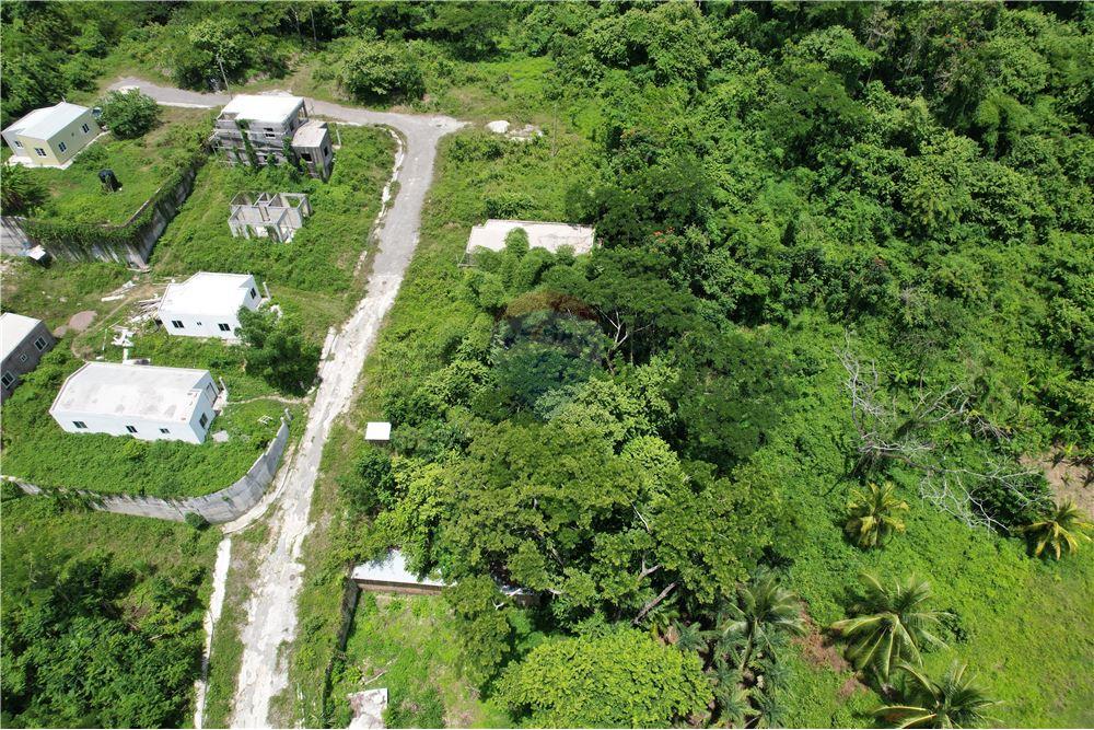 Land - For Sale - Lucea, Hanover Parish, Jamaica - 2 - 902421019-7
