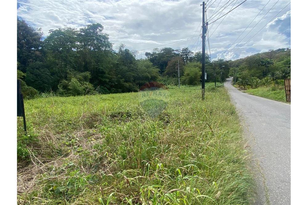 Land - For Sale - Tabaquite, Caroni, Trinidad and Tobago - 5 - 90155109-158
