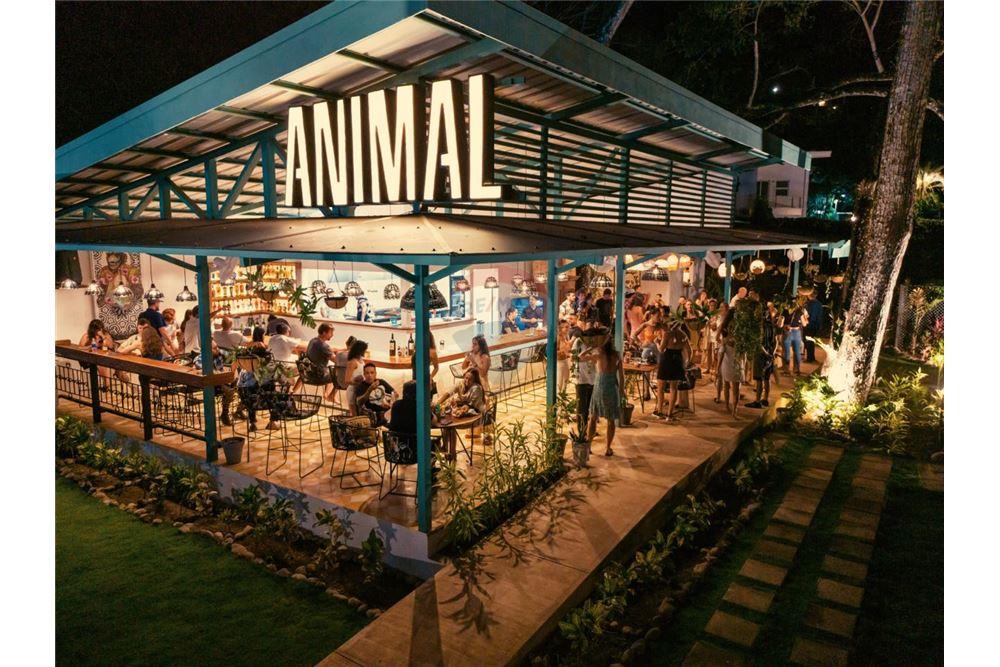 Commercial - Commercial/Retail - Jaco - Playa Hermosa, Puntarenas- Garabito, Costa Rica - Caribbean & Central Ameri - 1 - 90168024-55