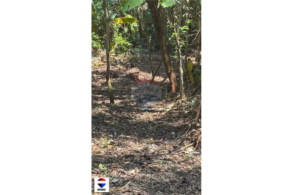 Comercial - Terrenos - Tarcoles - Quebrada Ganado, Puntarenas- Garabito, Costa Rica - Caribbean & Central Ameri - 13 - 90168030-59