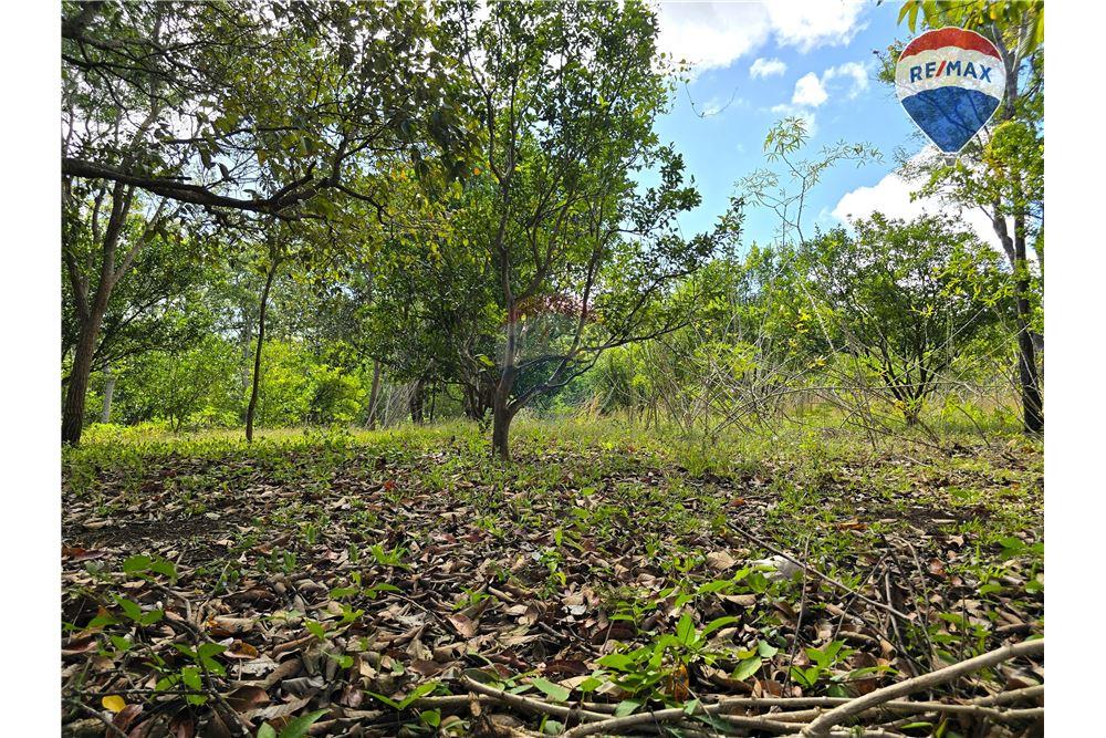 Commercial - Land - Nandaime, Granada, Nicaragua - Caribbean & Central Ameri - 16 - 90119010-73