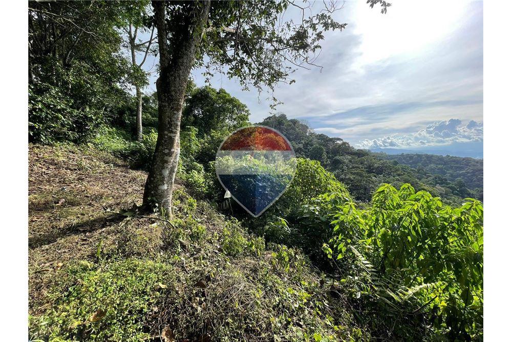 Land - For Sale - Santa Tecla, La Libertad, El Salvador - 6 - 901901032-34