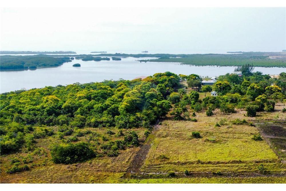 Grondstuk - Te Koop - Independence, Stann Creek District, Belize - 3 - 90127035-16
