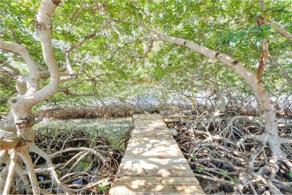 Comercial - Lojas - Hopkins, Stann Creek District, Belize - Caribbean & Central Ameri - 11 - 90127038-12