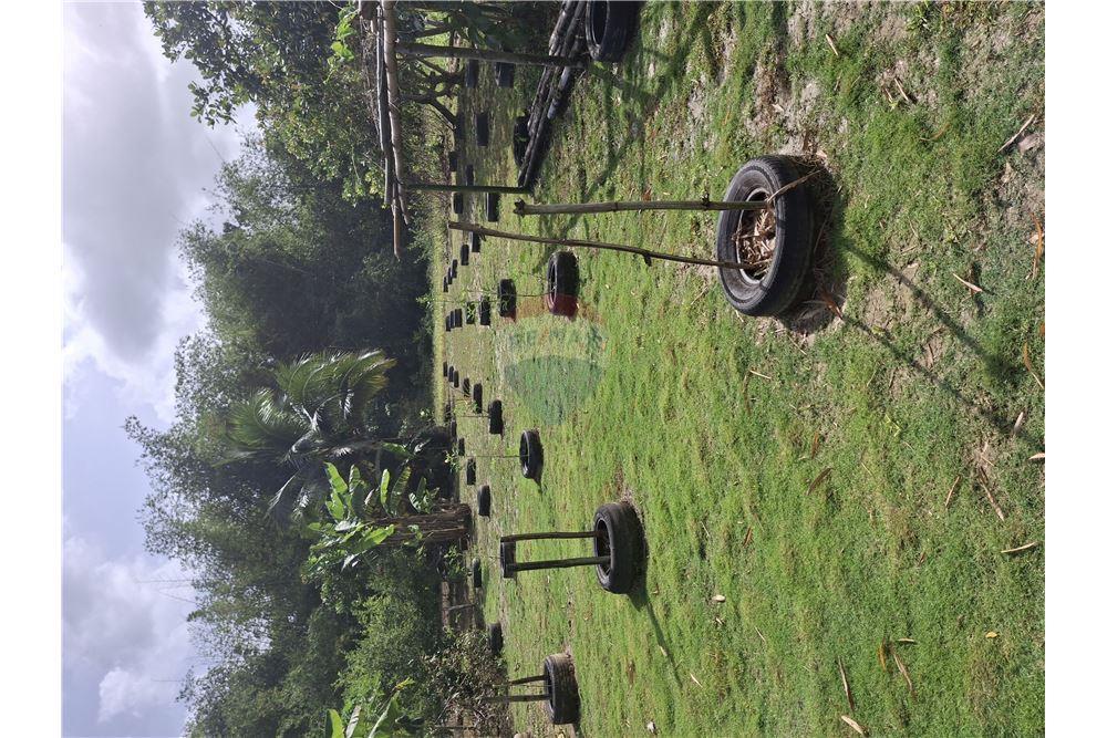 Grondstuk - Te Koop - Sangre Chiquita, Saint Andrew, Trinidad and Tobago - 3 - 90155092-77