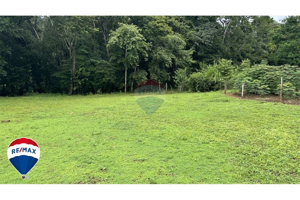 Commercio - Terreno - San José, San José, Costa Rica - Caribbean & Central Ameri - 18 - 90168030-67