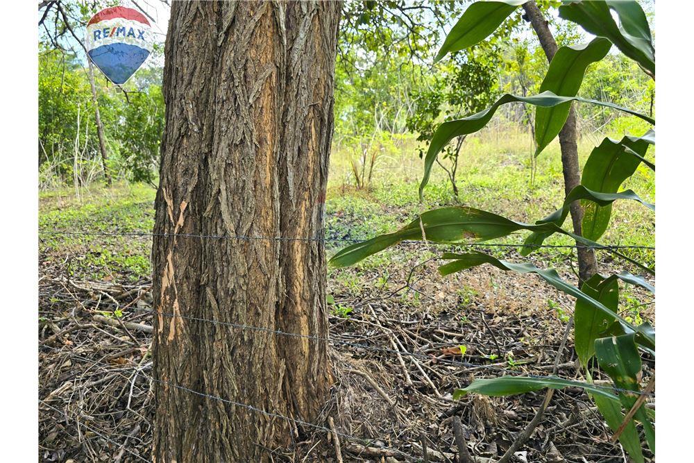 Commercial - Land - Nandaime, Granada, Nicaragua - Caribbean & Central Ameri - 19 - 90119010-73