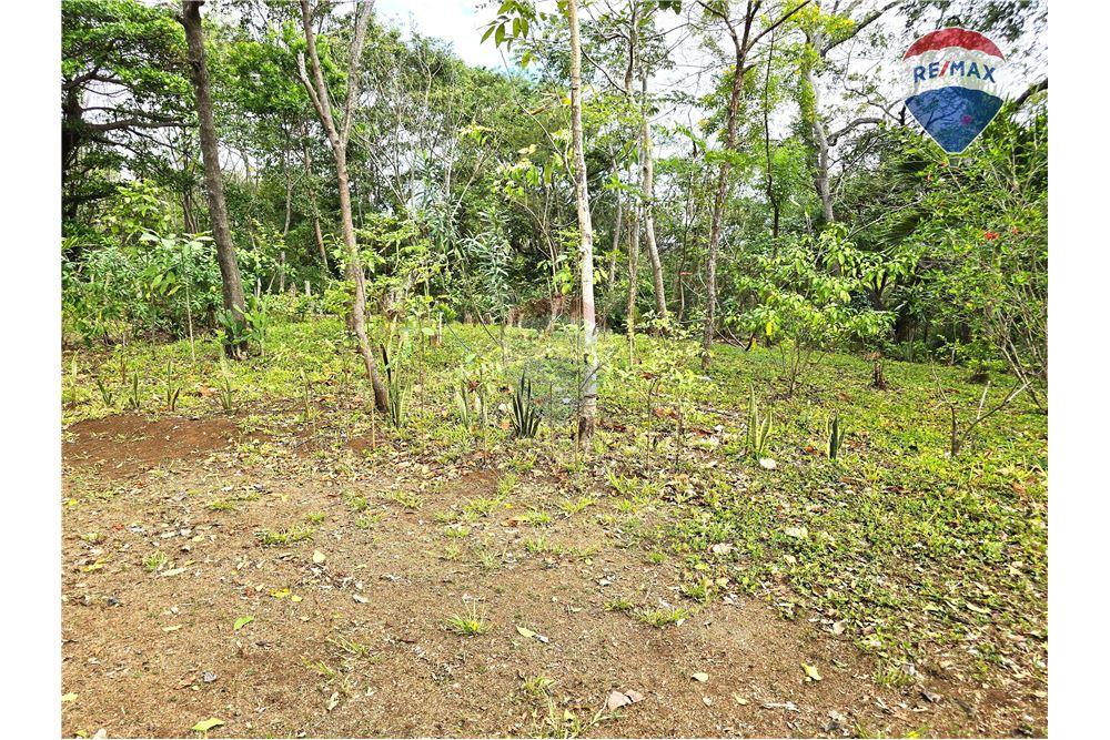 Commercial - Land - Nandaime, Granada, Nicaragua - Caribbean & Central Ameri - 4 - 90119010-73