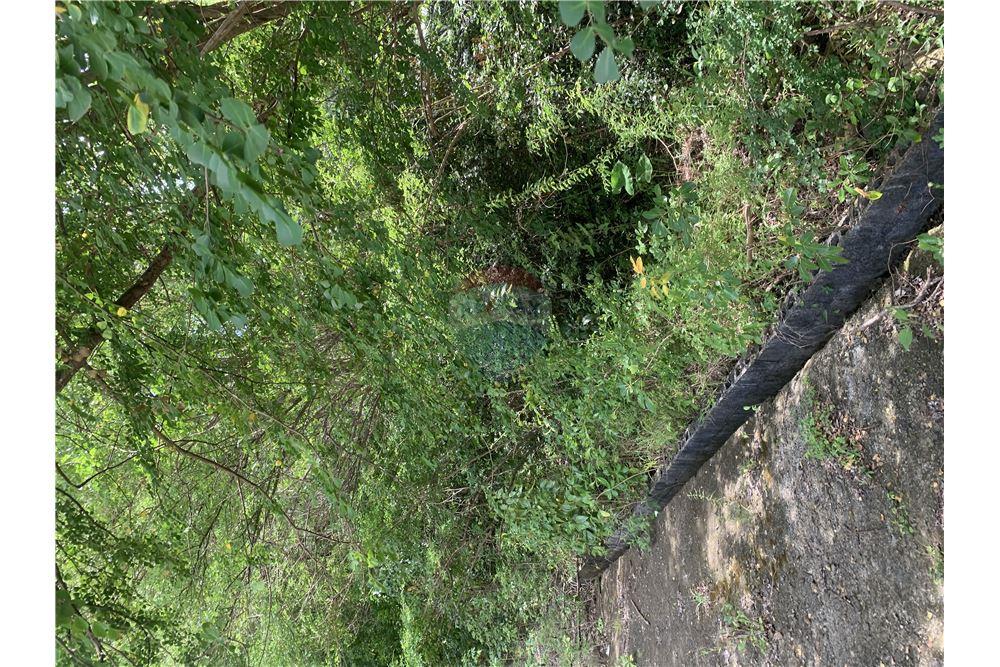 Commercial - Land - Gros Islet, Gros-Islet, St Lucia - Caribbean & Central Ameri - 7 - 902071001-212