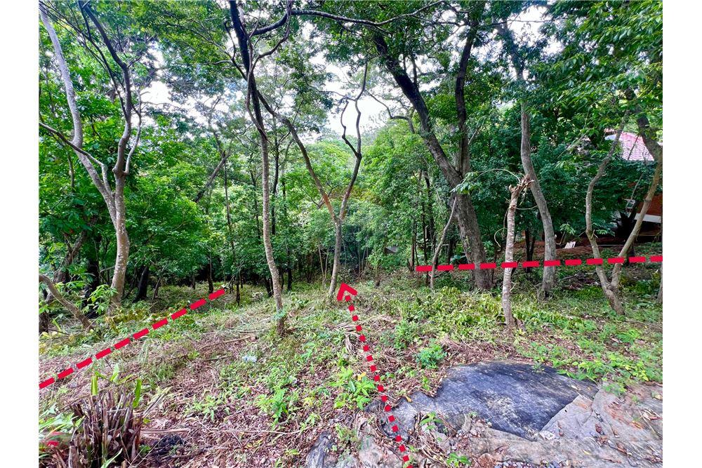 Grondstuk - Te Koop - Roatan, Bay Islands, Honduras - 2 - 90143009-441