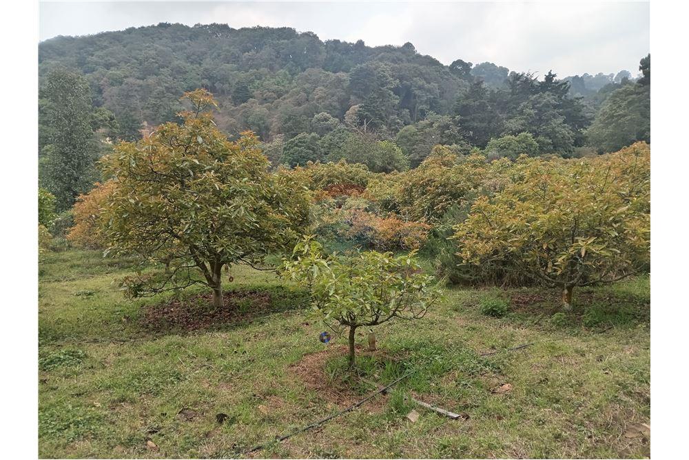 Lote - Venta - Santiago Sacatepéquez, Sacatepéquez, Guatemala - 1 - 902091002-88