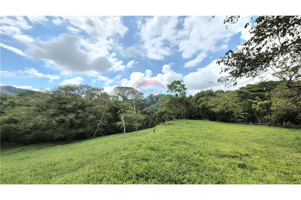 Comercial - Terreno - Atenas, Alajuela- Atenas, Costa Rica - Caribbean & Central Ameri - 2 - 90128007-195