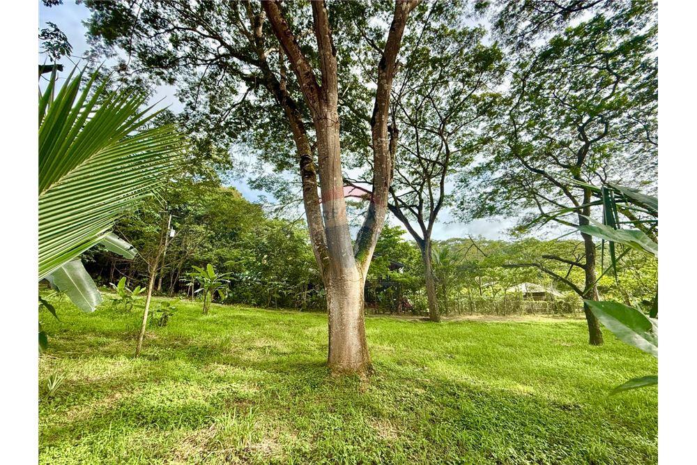 Comercial - Terreno - Jaco - Jaco, Puntarenas- Garabito, Costa Rica - Caribbean & Central Ameri - 6 - 90168015-207