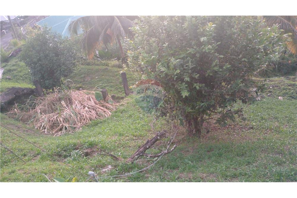 商业 - 土地 - Gomea, St Vincent, St Vincent and the Grenadines - Caribbean & Central Ameri - 3 - 90109008-7