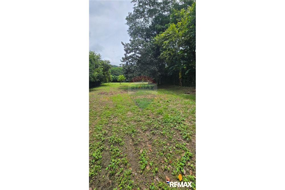 Commercial - Land - Jaco - Playa Hermosa, Puntarenas- Garabito, Costa Rica - Caribbean & Central Ameri - 6 - 90168005-700
