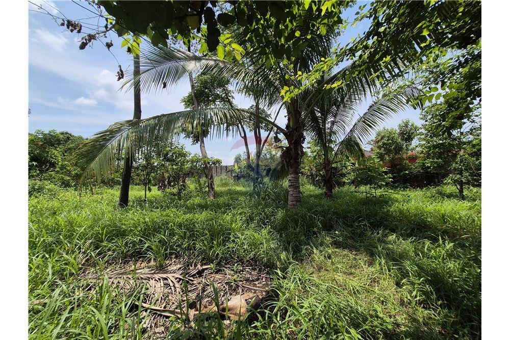 Grondstuk - Te Koop - Retalhuleu, Retalhuleu, Guatemala - 19 - 902641002-6