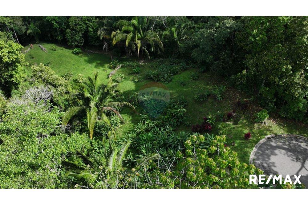 Comercial - Terreno - Parrita, Puntarenas - Parrita, Costa Rica - Caribbean & Central Ameri - 4 - 90168045-21