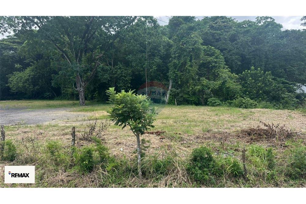 Commercio - Terreno - Puntarenas, Puntarenas - Puntarenas, Costa Rica - Caribbean & Central Ameri - 19 - 90168030-53