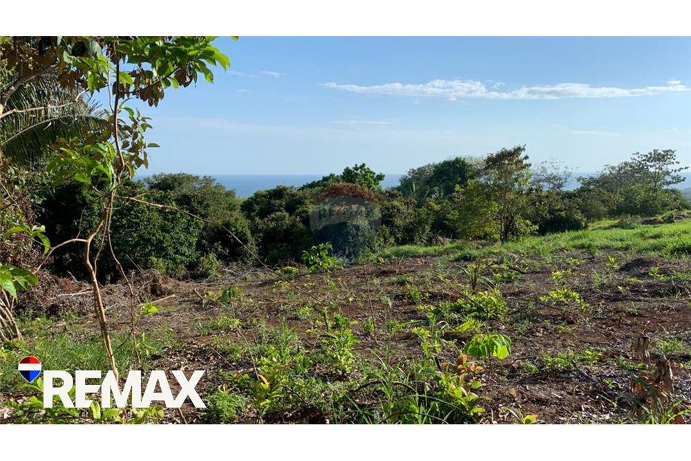 商业 - 土地 - Parrita - Esterillos, Puntarenas - Parrita, 哥斯达黎加 - Caribbean & Central Ameri - 6 - 90168013-172